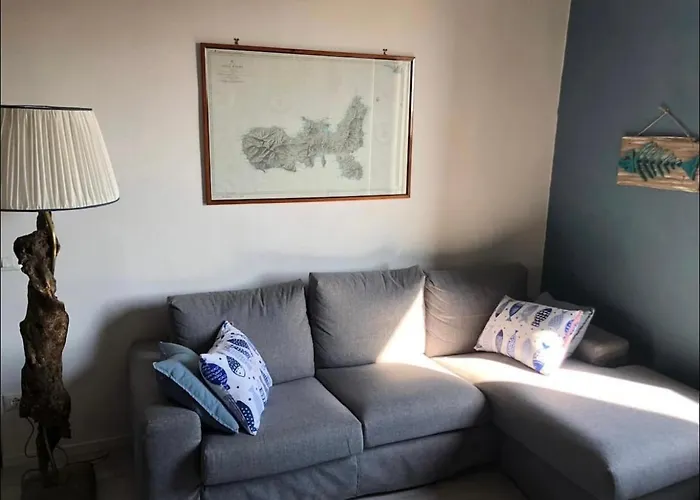 La Casa Di Nemo *