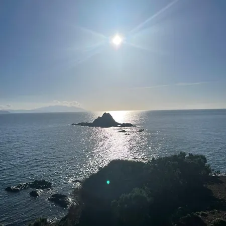 La Casa Di Nemo Lägenhet Piombino